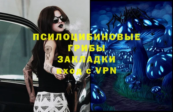 амф Володарск
