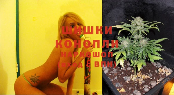 амф Володарск