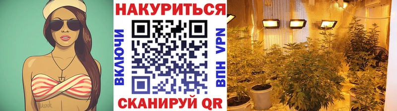 Бошки марихуана Bruce Banner  Сочи 
